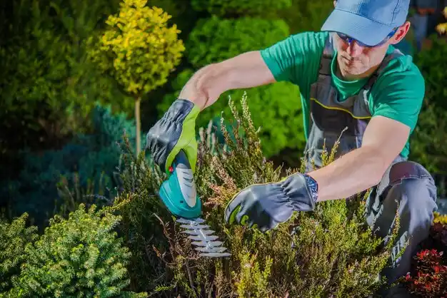 landscaping services Fordsville